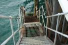 gal/Voyages/Angleterre/Brighton/Brighton_Pier/_thb_Brighton_Pier185.jpg