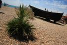 gal/Voyages/Angleterre/Brighton/_thb_Brighton084.jpg