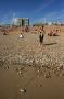 gal/Voyages/Angleterre/Brighton/_thb_Brighton151.jpg