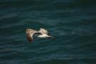 gal/Voyages/Angleterre/Brighton/_thb_Brighton179.jpg