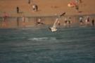 gal/Voyages/Angleterre/Brighton/_thb_Brighton180.jpg