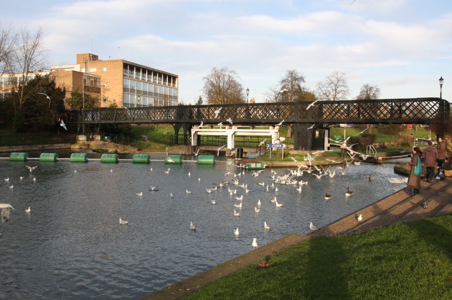 gal/Voyages/Angleterre/Cambridge/Cambridge54.jpg
