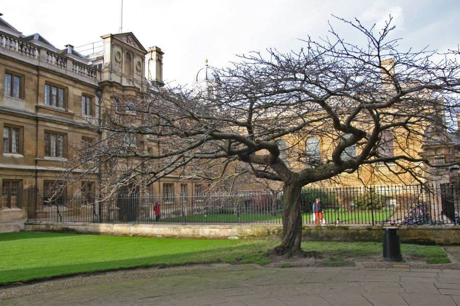 gal/Voyages/Angleterre/Cambridge/KingsCollegeChapel/Cambridge_Kings_College_Chapel04.jpg