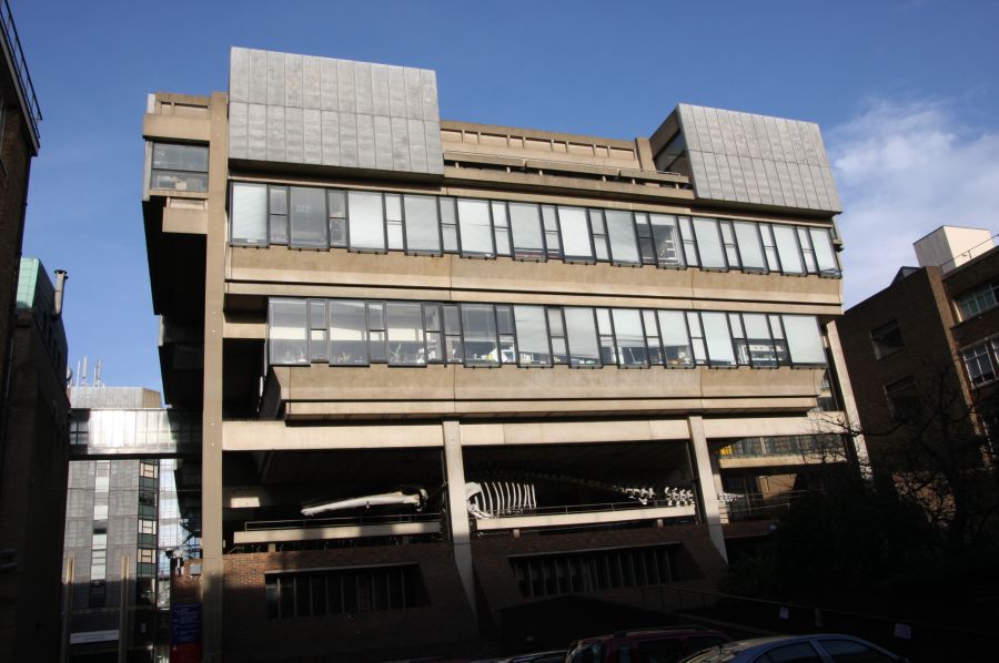 gal/Voyages/Angleterre/Cambridge/Museum_of_Zoology/Cambridge_Zoology_museum01.jpg