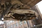 gal/Voyages/Angleterre/Cambridge/Museum_of_Zoology/_thb_Cambridge_Zoology_museum07.jpg