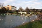 gal/Voyages/Angleterre/Cambridge/_thb_Cambridge54.jpg