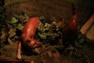 gal/Voyages/Angleterre/Canterbury/Canterbury_Tales/_thb_Canterbury_Tales40.jpg