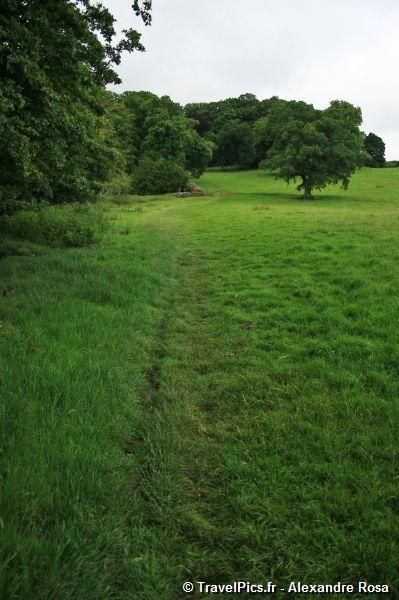 gal/Voyages/Angleterre/Hadrians_Wall/Hadrians_Wall_England16.jpg