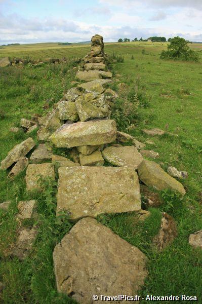gal/Voyages/Angleterre/Hadrians_Wall/Hadrians_Wall_England42.jpg