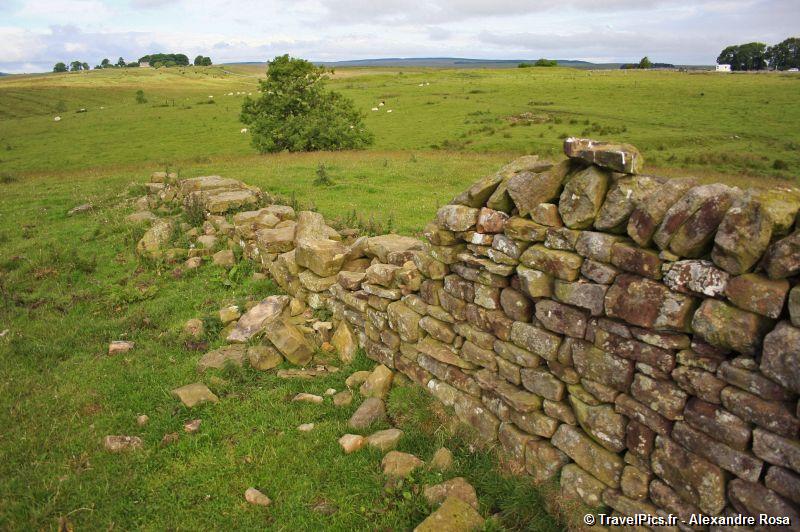 gal/Voyages/Angleterre/Hadrians_Wall/Hadrians_Wall_England44.jpg