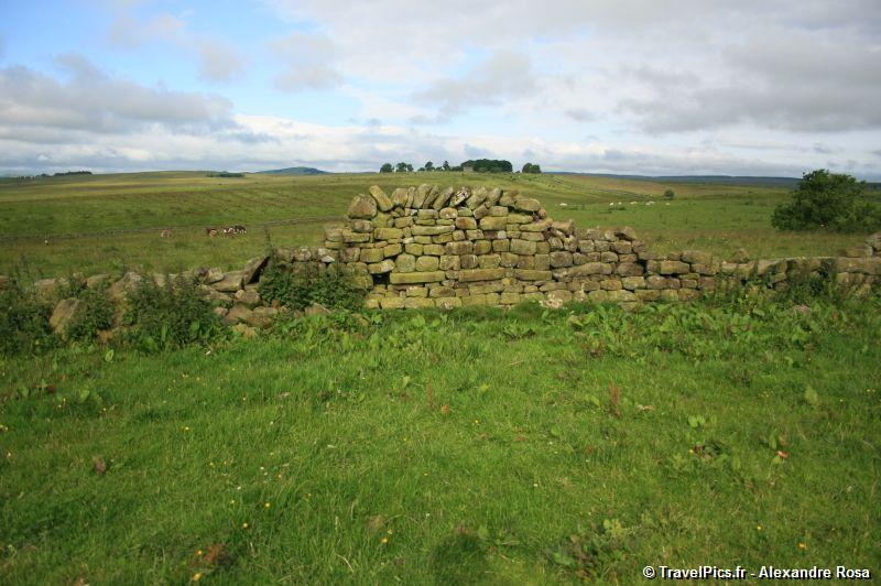 gal/Voyages/Angleterre/Hadrians_Wall/Hadrians_Wall_England49.jpg