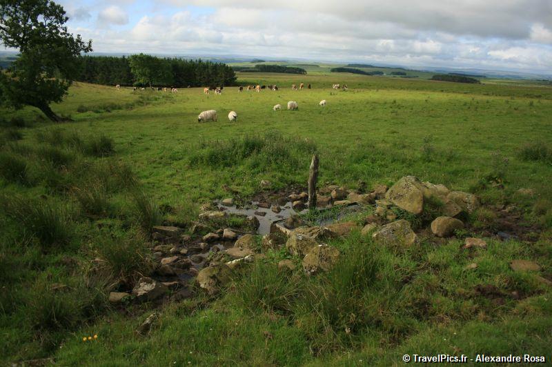 gal/Voyages/Angleterre/Hadrians_Wall/Hadrians_Wall_England50.jpg