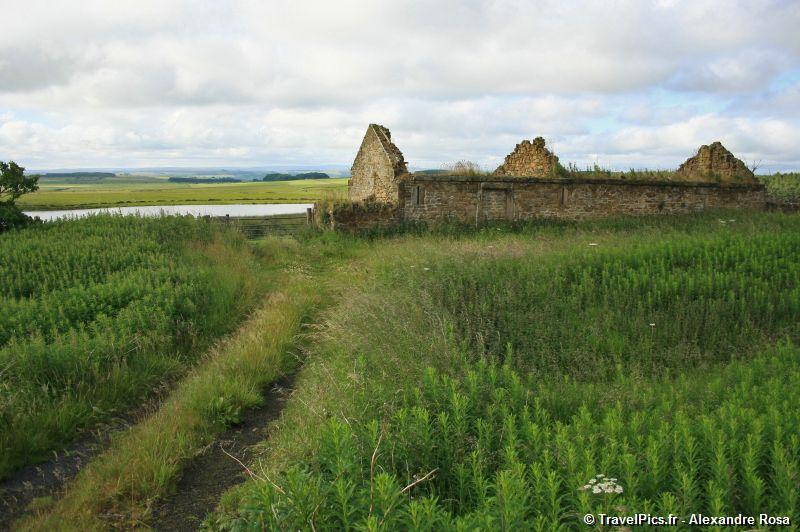 gal/Voyages/Angleterre/Hadrians_Wall/Hadrians_Wall_England57.jpg