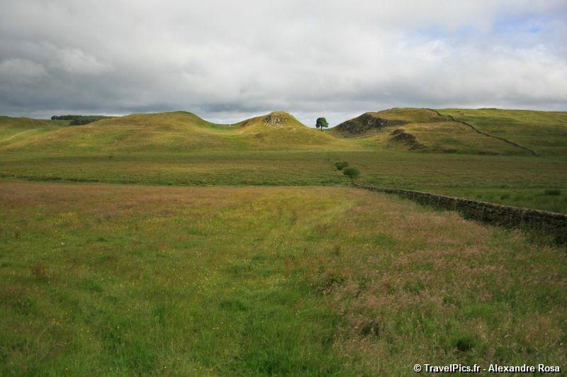 gal/Voyages/Angleterre/Hadrians_Wall/Hadrians_Wall_England62.jpg