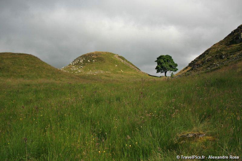 gal/Voyages/Angleterre/Hadrians_Wall/Hadrians_Wall_England67.jpg