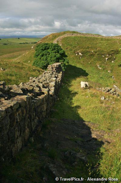 gal/Voyages/Angleterre/Hadrians_Wall/Hadrians_Wall_England79.jpg