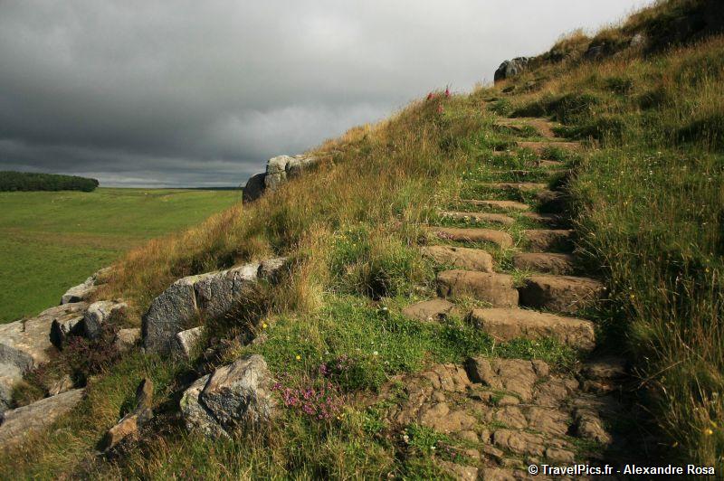 gal/Voyages/Angleterre/Hadrians_Wall/Hadrians_Wall_England80.jpg
