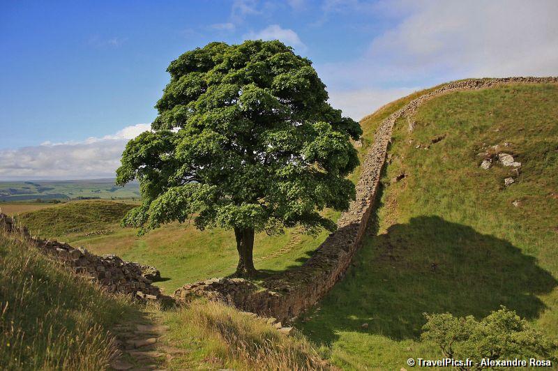 gal/Voyages/Angleterre/Hadrians_Wall/Hadrians_Wall_England93.jpg