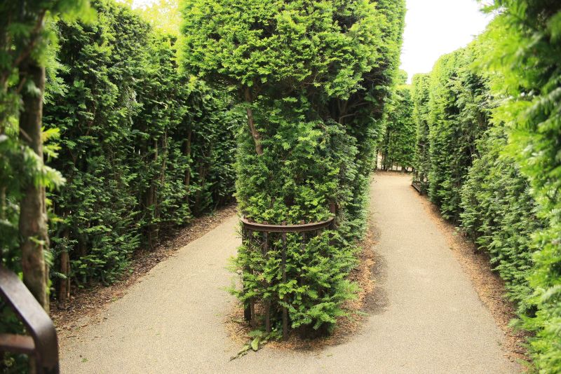 gal/Voyages/Angleterre/Hampton_Court_Palace/Baroque_Maze/Hampton_Court_Maze03.jpg