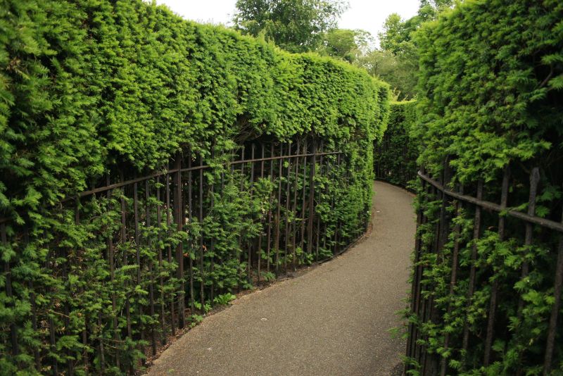 gal/Voyages/Angleterre/Hampton_Court_Palace/Baroque_Maze/Hampton_Court_Maze08.jpg