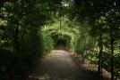gal/Voyages/Angleterre/Hampton_Court_Palace/Baroque_Maze/_thb_Hampton_Court_Maze01.jpg