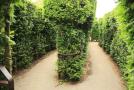gal/Voyages/Angleterre/Hampton_Court_Palace/Baroque_Maze/_thb_Hampton_Court_Maze03.jpg