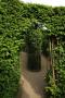 gal/Voyages/Angleterre/Hampton_Court_Palace/Baroque_Maze/_thb_Hampton_Court_Maze06.jpg