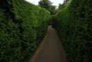 gal/Voyages/Angleterre/Hampton_Court_Palace/Baroque_Maze/_thb_Hampton_Court_Maze07.jpg
