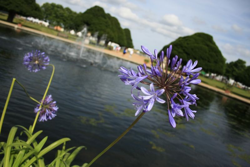 gal/Voyages/Angleterre/Hampton_Court_Palace/Fountain_Gardens/Hampton_Court_Fountain_Garden05.jpg
