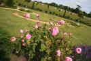 gal/Voyages/Angleterre/Hampton_Court_Palace/Fountain_Gardens/_thb_Hampton_Court_Fountain_Garden23.jpg