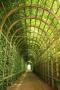 gal/Voyages/Angleterre/Hampton_Court_Palace/Pond_Garden/_thb_Hampton_Court_Pond_Garden09.jpg