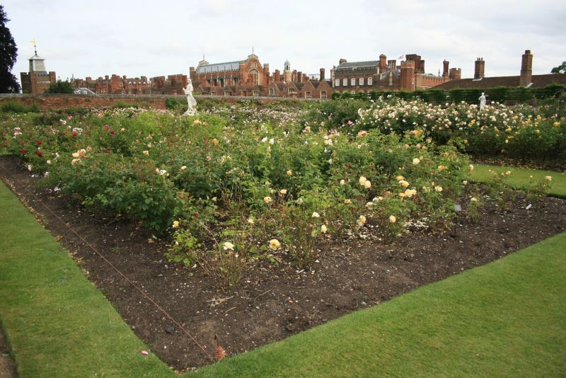 gal/Voyages/Angleterre/Hampton_Court_Palace/Rose_Garden/Hampton_Court_Rose_Gardens02.jpg