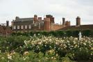 gal/Voyages/Angleterre/Hampton_Court_Palace/Rose_Garden/_thb_Hampton_Court_Rose_Gardens04.jpg