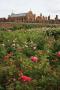 gal/Voyages/Angleterre/Hampton_Court_Palace/Rose_Garden/_thb_Hampton_Court_Rose_Gardens06.jpg