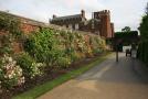 gal/Voyages/Angleterre/Hampton_Court_Palace/Rose_Garden/_thb_Hampton_Court_Rose_Gardens15.jpg