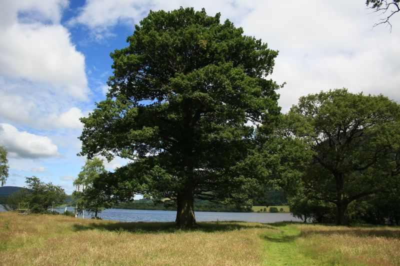 gal/Voyages/Angleterre/Lake_District/IMG_0137.JPG