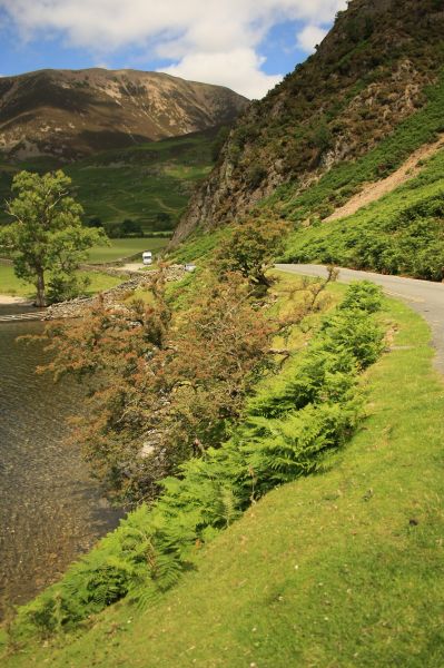 gal/Voyages/Angleterre/Lake_District/IMG_0208.JPG