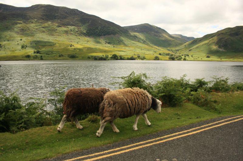 gal/Voyages/Angleterre/Lake_District/IMG_0225.JPG