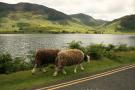 gal/Voyages/Angleterre/Lake_District/_thb_IMG_0225.JPG