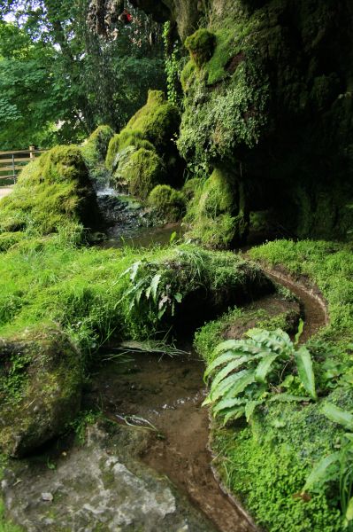 gal/Voyages/Angleterre/Mother_Chiptons_Cave/Mother_Chiptons_Cave17.jpg