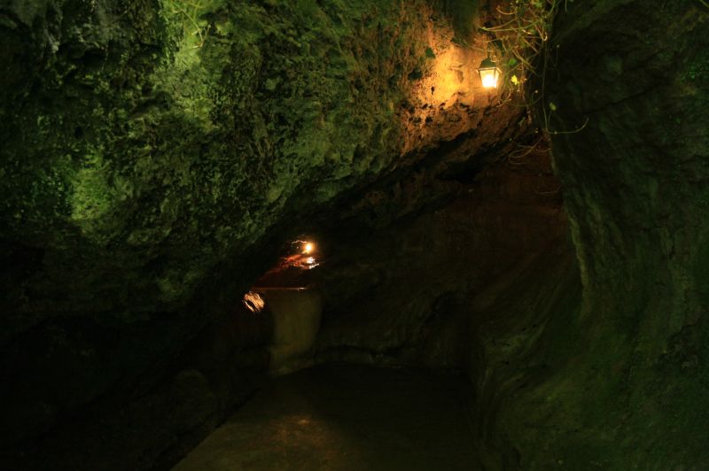 gal/Voyages/Angleterre/Mother_Chiptons_Cave/Mother_Chiptons_Cave32.jpg