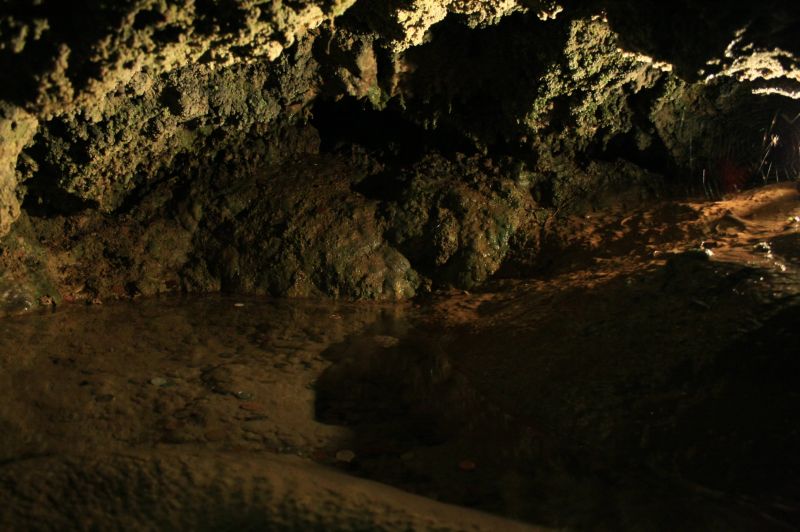 gal/Voyages/Angleterre/Mother_Chiptons_Cave/Mother_Chiptons_Cave34.jpg
