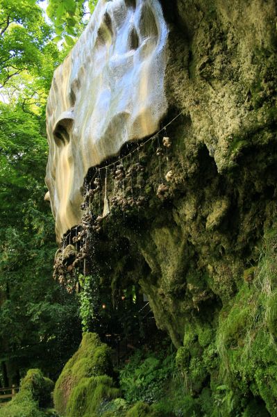 gal/Voyages/Angleterre/Mother_Chiptons_Cave/Mother_Chiptons_Cave36.jpg