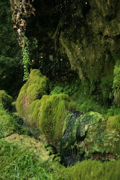 gal/Voyages/Angleterre/Mother_Chiptons_Cave/Mother_Chiptons_Cave39.jpg