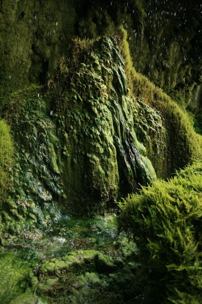 gal/Voyages/Angleterre/Mother_Chiptons_Cave/Mother_Chiptons_Cave44.jpg