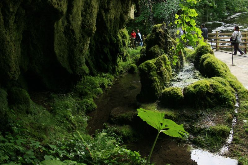 gal/Voyages/Angleterre/Mother_Chiptons_Cave/Mother_Chiptons_Cave48.jpg
