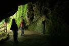 gal/Voyages/Angleterre/Mother_Chiptons_Cave/_thb_Mother_Chiptons_Cave26.jpg