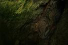 gal/Voyages/Angleterre/Mother_Chiptons_Cave/_thb_Mother_Chiptons_Cave28.jpg