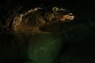 gal/Voyages/Angleterre/Mother_Chiptons_Cave/_thb_Mother_Chiptons_Cave33.jpg