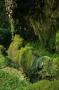 gal/Voyages/Angleterre/Mother_Chiptons_Cave/_thb_Mother_Chiptons_Cave39.jpg
